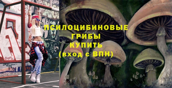 гидропоника Лабытнанги