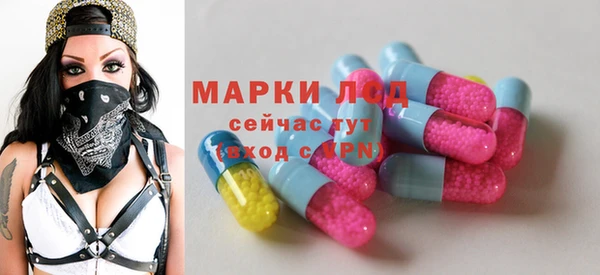 ECSTASY Ладушкин