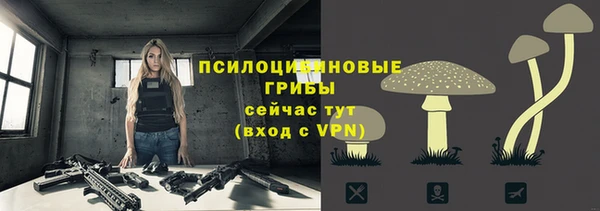 кристаллы Лагань