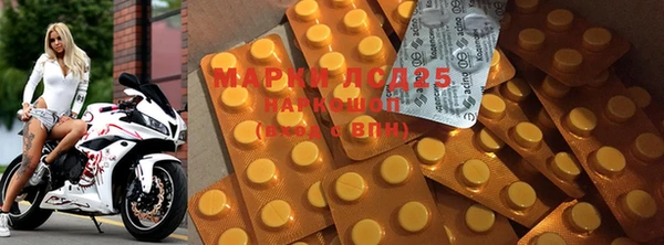 ECSTASY Ладушкин
