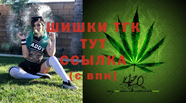 гидропоника Лабытнанги