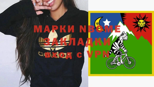 ECSTASY Ладушкин