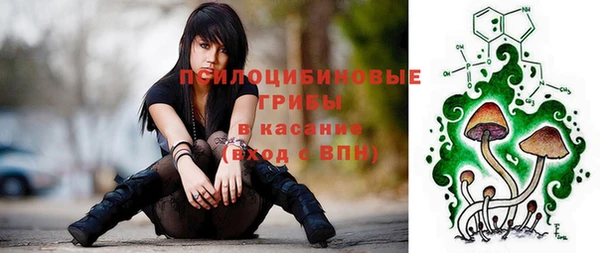 ECSTASY Ладушкин